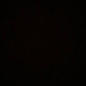 Meet your Posher, Ty